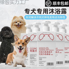 ����؈�����ȥë�Y���ɳ־�����ϴ����ԡ¶��Ȯ�����־�����