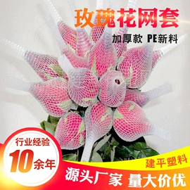 其他塑料网;包装制品配件;塑料网套