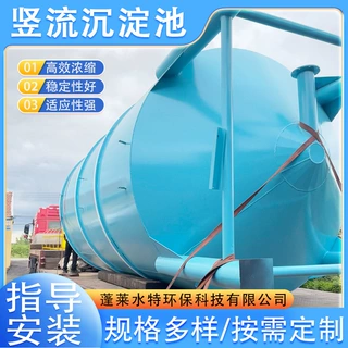 竖流式沉淀池污水泥处理设备中心沉淀塔化工立式泥沙沉降池定制