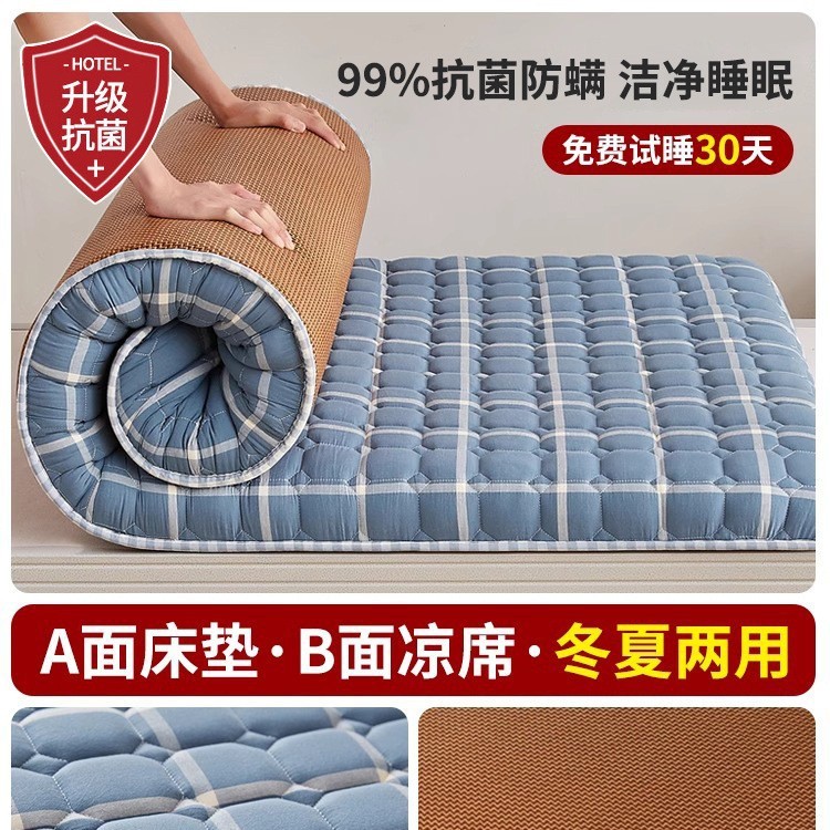 地铺睡垫家用床垫软垫防潮地垫打地铺神器租房专用垫学生宿舍单人|undefined