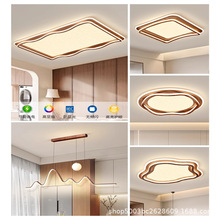 法式中古风客厅吸顶灯2025新款高级感中山大厅主灯具全屋套餐组合