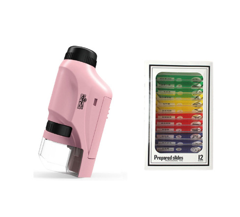 핑크 (영어) 색 표본