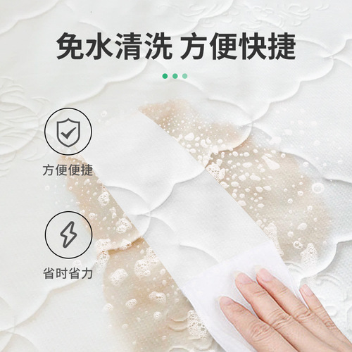 Household Pet Urine Stains Cleaner Fabric Sofa Mattress Water-Free Cleaner Carpet Pet Urine Stains Dry Cleaning Agent