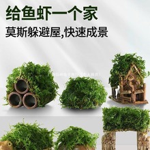 鱼缸水草造景莫斯水草懒人真植物鱼虾躲避罐虾屋小摆件小鱼躲避屋