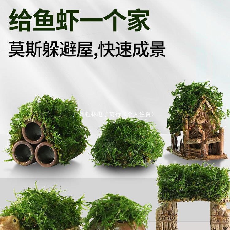 Fish Tank, Aquatic Plants, Moss, Aquatic Plants, Lazy Real Plants, Fish and Shrimp Shelter Tank, Shrimp House, Small Ornaments, Small Fish Shelter House Fish Tank, Aquatic Plants, Moss, Aquatic Plants, Lazy Real Plants, Fish and Shrimp Shelter Tank, Shrimp House, Small Ornaments, Small Fish Shelter House