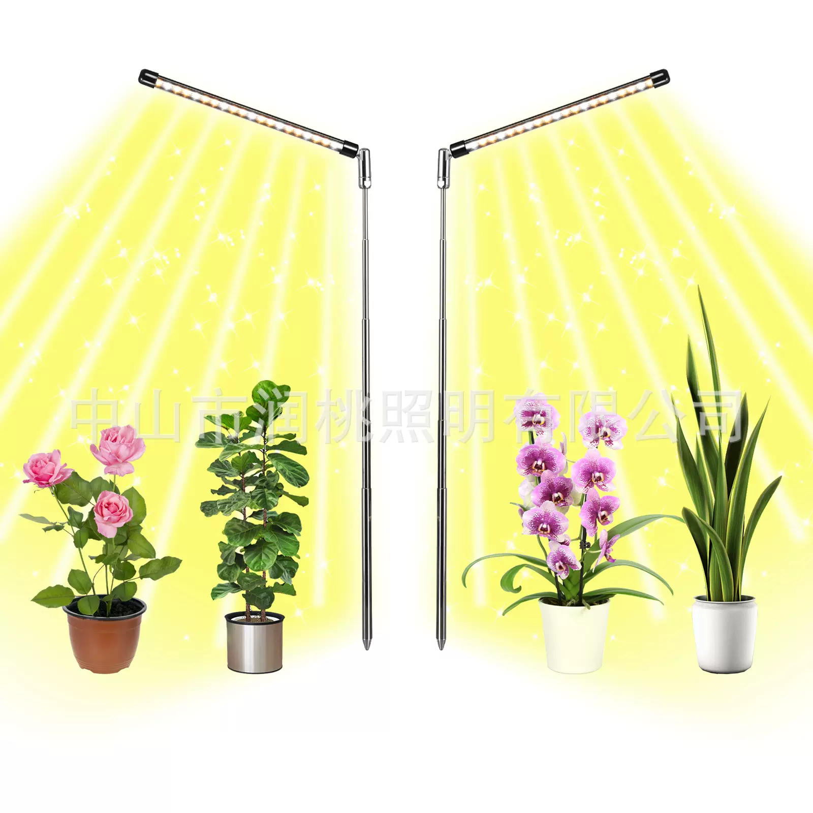 植物生长灯照明室内循环定时调光全光谱多肉补光灯LED植物灯