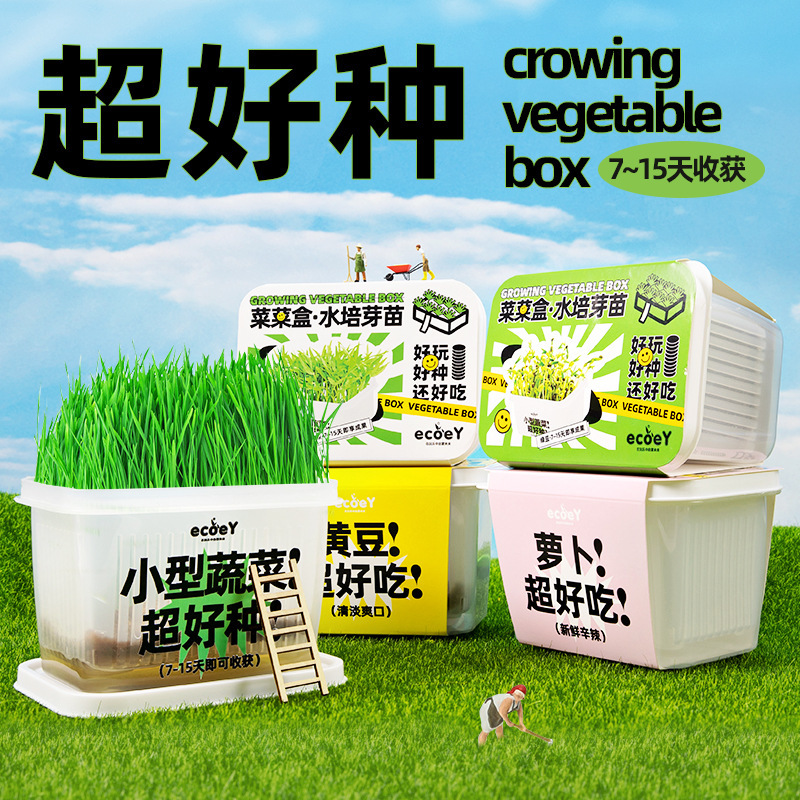 Children's Planting Kit for Hydroponic Mini Potted Plants, Small Tomatoes, and Flower Plants; Plant Observation Seed Blind Box