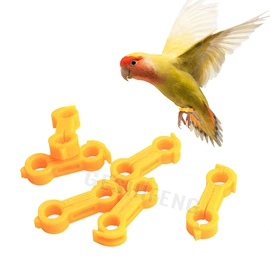 强化免疫;鸟类;宠物周边用品