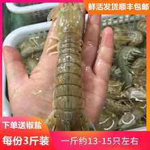 ʮ������uƤƤ�r�r��3��|���r�����r���F�r���w�r�������r���r