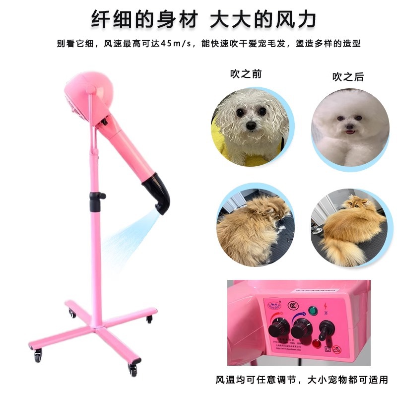 Chunzhou Pet Shop Beauty Styling Teddy Bichon Secador de pelo grande especial para perros Máquina de cepillado vertical de iones negativos