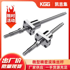 TBIKGG小型精密滚珠丝杆GSR1210TC-2.5微型丝杠厂家现货高精度