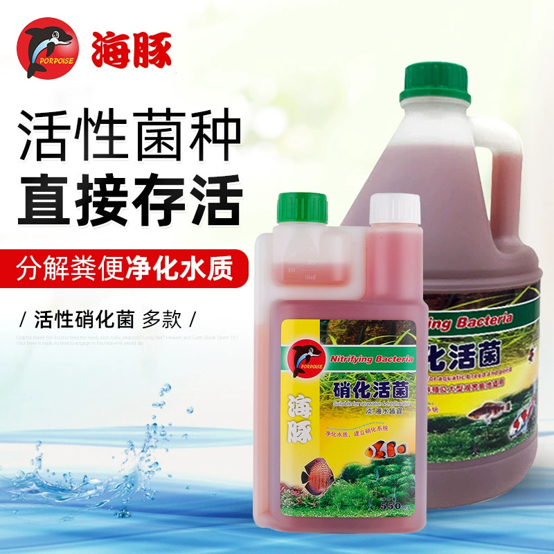 Дельфин нитрифицирующие бактерии стабильность качества воды аквариум бактерии очистка воды Дезодорация трава аквариумный фильтр нитрифицирующие бактерии очистка воды