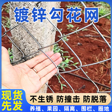 ����\�F�z�W�Bֳ���@�������ξ������پW���oȦɽȦ����\�����W