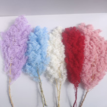 �������������R�����l diy���ѩ�������������ˇ�[���bɻ�