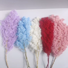 干花;永生花