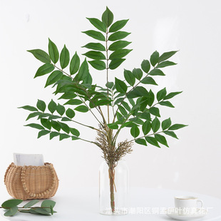 ����ֲ����ľ�~������Gֲ��zӰ�����҃ș����b�ֲ�