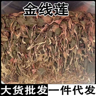 ��ɏ ̨���tϼ��ɏ�����tϼ��ɏ��ɏ���l���l