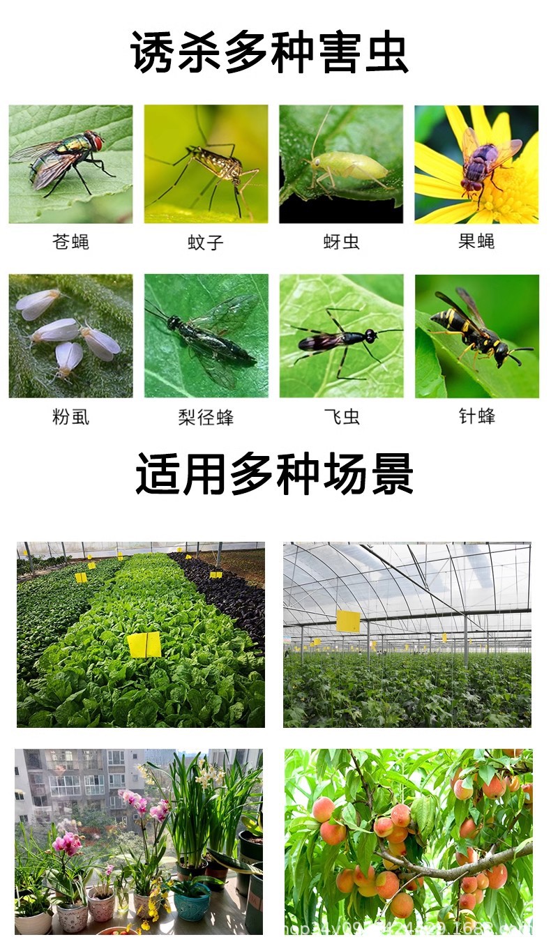 O1CN01UjVXM71vw8goO9d7Z_!!2215