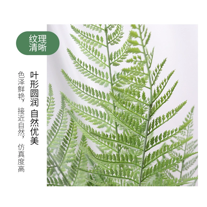 Artificial plant, ponytail, "Mountain cloud" tea, (Cross-border trading)