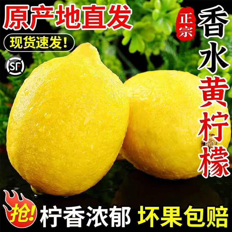 Guangdong Fragrant Lemon, Fresh Lemon for Milk Tea Shops, Seedless Seasonal Lime