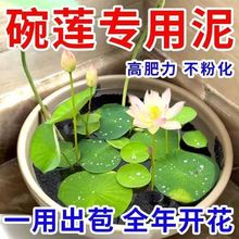 ��ɏ��ˮ������ɏ�಻��ˮ����ˮ��ɏ˯ɏˮ��ֲ��I�B��׷����l