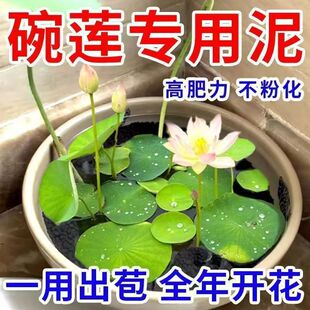 ��ɏ��ˮ������ɏ�಻��ˮ����ˮ��ɏ˯ɏˮ��ֲ��I�B��׷����l