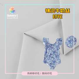 锦纶冰凉丝布料弹力泳装睡衣内衣面料 游泳女装童装数码印花加工