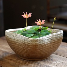 铜钱花盆大口径水养大号无孔水培水仙盆睡莲碗莲陶瓷溢柚