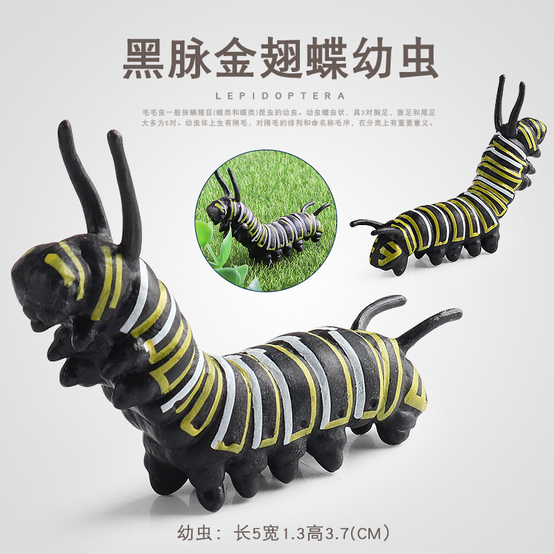 Children's Cognitive Simulation Realistic Heart-Shaped Animal Insect Model Toy Black Vein Golden Spot Butterfly Larva Caterpillar Butterfly Ornament