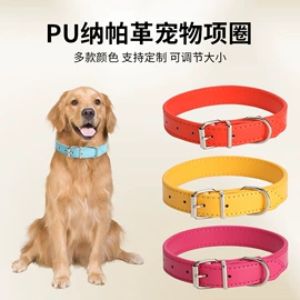 宠物项圈;狗狗牵引;狗狗服装