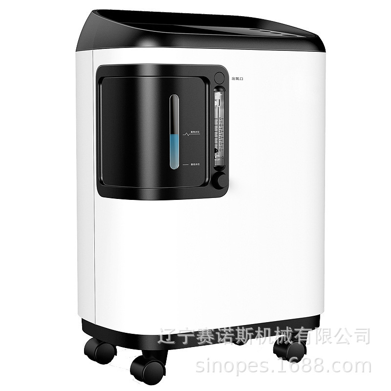 辽阳5L/10L工业用家用96% 纯度氧气发生器设备制氧机出售