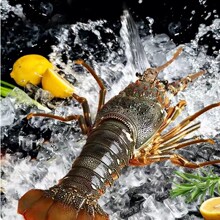 ���С����Խ������С���������r���r���r���ˮ�a�r�aƷ���l