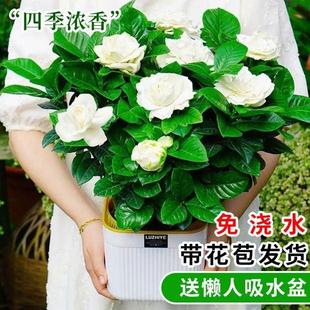 ��������������d�ӻ��҃ȾGֲ����ˮ���ļ��_������ȩ���B