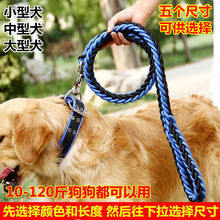 宠物狗链遛狗绳狗狗项圈牵引绳子小型犬大型犬P绳加粗大狗金毛犬