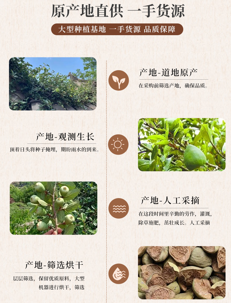Dried Mu Lian Guo Fruit 木莲果 Whole Form Traditional Herbal Ingredient 500g key features