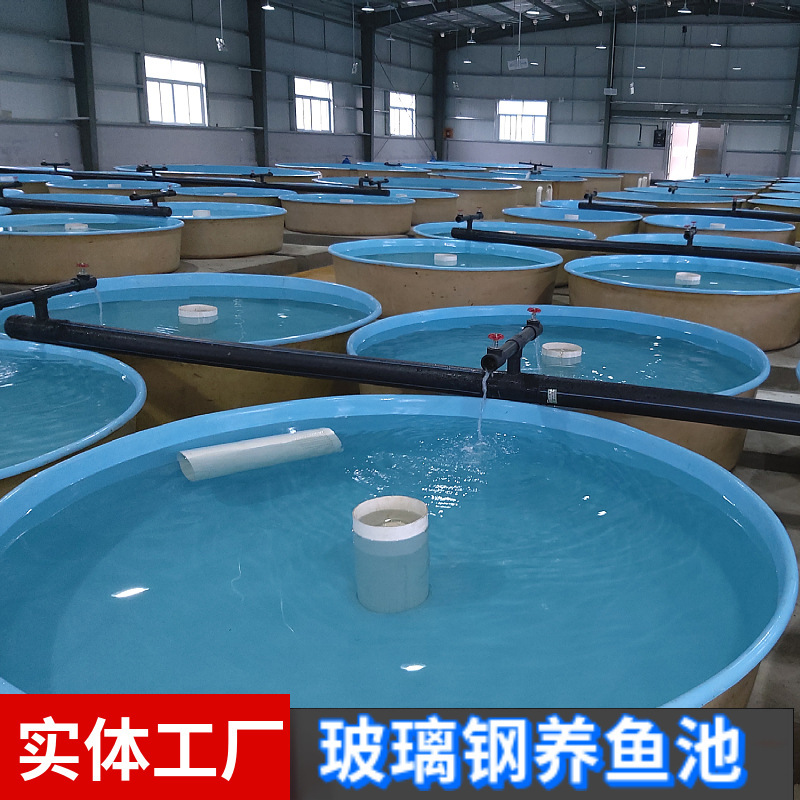 Fiberglass Fish Tank, Fiberglass Water Tank for Raising Fish Fry, Round Assembled Fish Farm Pond, Fiberglass Fish Pond