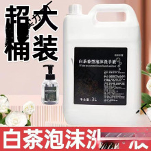 高品质2025新款推荐白茶洗手液泡沫型持久留香家用宿舍装严选