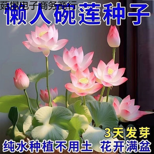 ��ɏ�N�߲������ɫˮ�໨��ˮ�B�ļ�ɏ���ɻ���ɏź�Gֲˮ��ɏ��