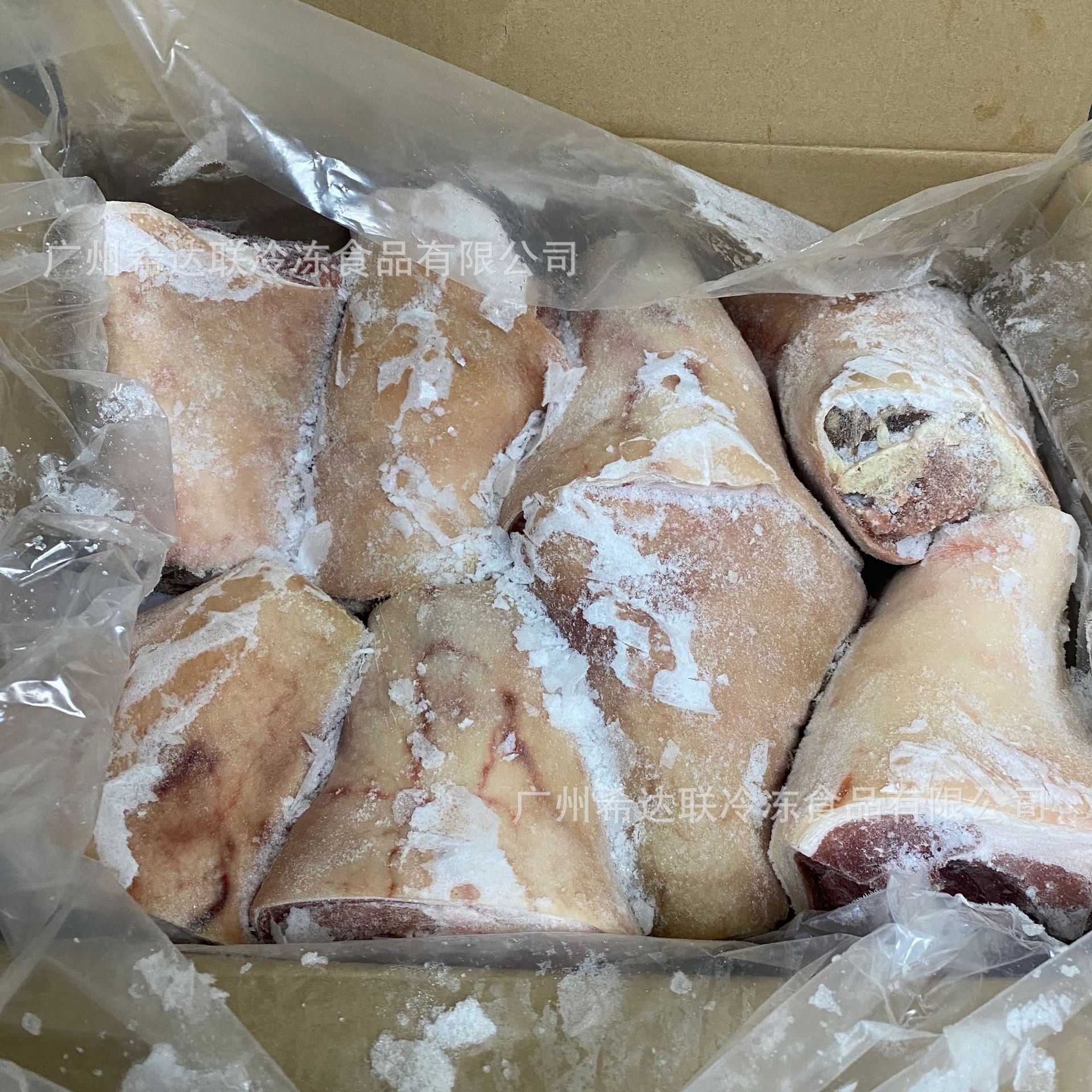 冷冻猪肘猪后肘 10公斤/件 猪蹄膀卤水猪手猪脚饭商用食材 猪后肘