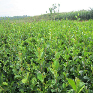 �·N�� ���Ԙ�ľ�N�� �����ϷN���Ჴ����ľ�N����ľ�N�ӾG���N��