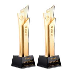 创意定制金属工艺纪念品合金摆件奖杯企业年会颁奖可定做LOGO文字