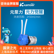 卡默尔蠕动泵12v泵实验室自吸泵循环泵 电机抽水泵CKP泵头小水泵