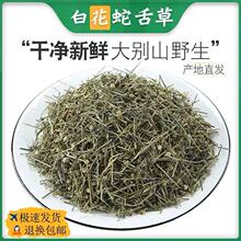 �׻��������ș��500��Ұ����؛�׻�����ݺͰ�֦ɏ��ș�������