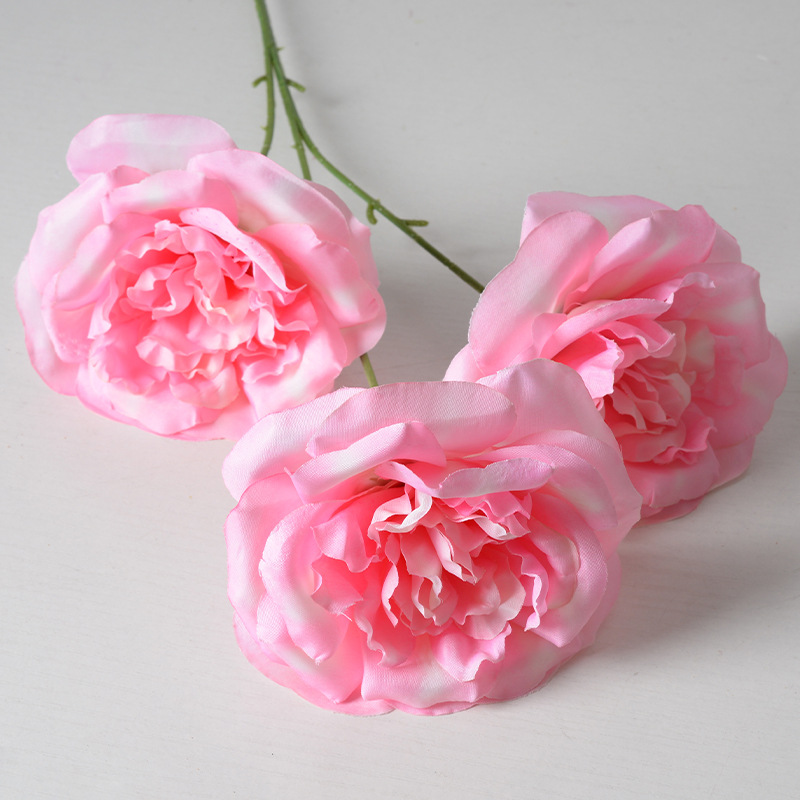 Polvo claro de 3 Martin grande