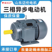 YE3-���ஐ��늄әC0.55KW-500ǧ��늙C��D�ӹ����ƹ��ܸ�Ч׃�l