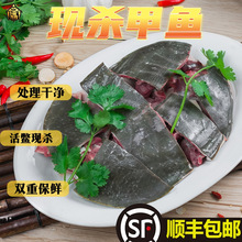 【两只装】现杀甲鱼去皮放养生态王八鳖肉速冻鲜活新鲜真空批发