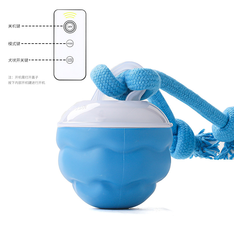 로얄블루 [애견공] 리모콘 버전