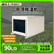 定制吊顶除湿机排湿泳池家用地下室管道植物大功率干燥车间器热泵