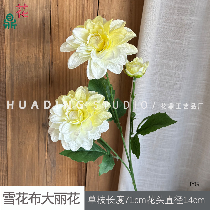 눈꽃 달리아 JYG 옐로우