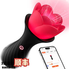 安芮玫瑰花灯跳蛋震振动入体自慰器后庭肛塞按摩棒女用自慰器AV棒